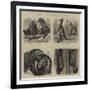 Notes at the Zoological Gardens-null-Framed Giclee Print