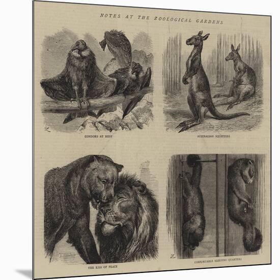 Notes at the Zoological Gardens-null-Mounted Giclee Print