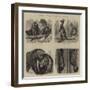 Notes at the Zoological Gardens-null-Framed Giclee Print