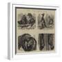 Notes at the Zoological Gardens-null-Framed Giclee Print