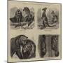 Notes at the Zoological Gardens-null-Mounted Giclee Print