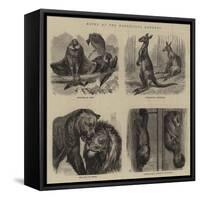 Notes at the Zoological Gardens-null-Framed Stretched Canvas