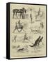 Notes from a Traveller's Sketch-Book-Alfred Chantrey Corbould-Framed Stretched Canvas