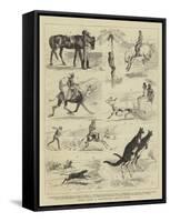 Notes from a Traveller's Sketch-Book-Alfred Chantrey Corbould-Framed Stretched Canvas