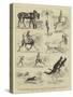 Notes from a Traveller's Sketch-Book-Alfred Chantrey Corbould-Stretched Canvas