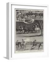 Notes from Queensland, on the Diamantina River-null-Framed Giclee Print