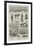 Notes from the Combined Fleets of the Great Powers at Suda Bay, Crete-null-Framed Giclee Print