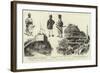 Notes from the Dominions of the Nizam of Hyderabad, Central India-null-Framed Giclee Print