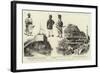 Notes from the Dominions of the Nizam of Hyderabad, Central India-null-Framed Giclee Print