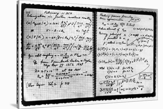 Notes Taken by Enrico Fermi-null-Stretched Canvas