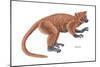 Notharctus, Extinct Lemur, Mammals-Encyclopaedia Britannica-Mounted Poster