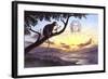 Notharctus Sits on a Tree Branch with Vitruvian Man as a Backdrop in the Sky-null-Framed Art Print