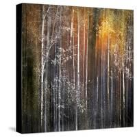 Nothing Gold Can Stay-Ursula Abresch-Stretched Canvas