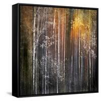 Nothing Gold Can Stay-Ursula Abresch-Framed Stretched Canvas