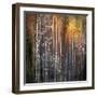 Nothing Gold Can Stay-Ursula Abresch-Framed Photographic Print