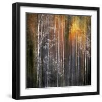 Nothing Gold Can Stay-Ursula Abresch-Framed Photographic Print