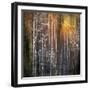 Nothing Gold Can Stay-Ursula Abresch-Framed Photographic Print