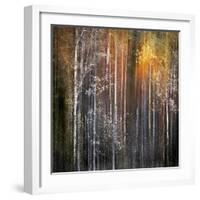 Nothing Gold Can Stay-Ursula Abresch-Framed Photographic Print