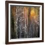 Nothing Gold Can Stay-Ursula Abresch-Framed Photographic Print