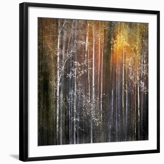 Nothing Gold Can Stay-Ursula Abresch-Framed Photographic Print