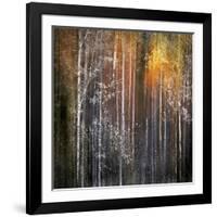 Nothing Gold Can Stay-Ursula Abresch-Framed Photographic Print