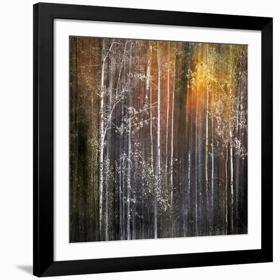 Nothing Gold Can Stay-Ursula Abresch-Framed Photographic Print