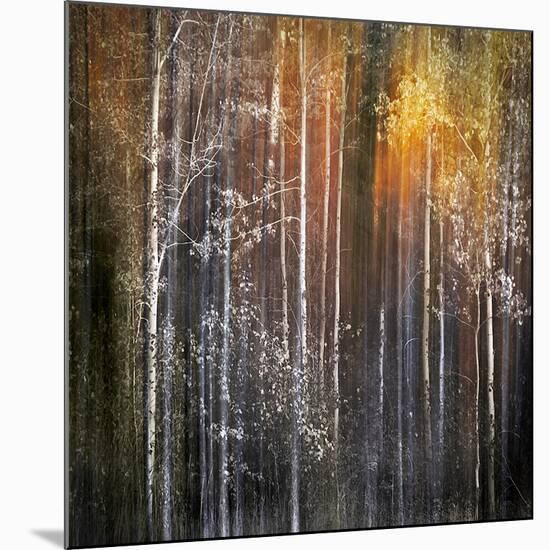 Nothing Gold Can Stay-Ursula Abresch-Mounted Photographic Print
