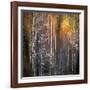 Nothing Gold Can Stay-Ursula Abresch-Framed Photographic Print