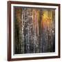 Nothing Gold Can Stay-Ursula Abresch-Framed Photographic Print