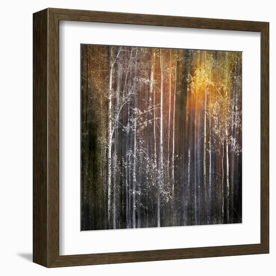 Nothing Gold Can Stay-Ursula Abresch-Framed Premium Photographic Print