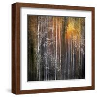 Nothing Gold Can Stay-Ursula Abresch-Framed Premium Photographic Print