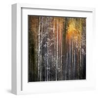 Nothing Gold Can Stay-Ursula Abresch-Framed Premium Photographic Print