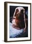 Nothing Is Real-Michalina Wozniak-Framed Photographic Print