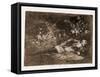 Nothing, that's what he will say-Francisco Jose de Goya y Lucientes-Framed Stretched Canvas