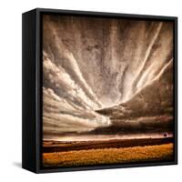 Nothing to Fear-Philippe Sainte-Laudy-Framed Stretched Canvas