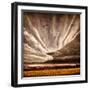 Nothing to Fear-Philippe Sainte-Laudy-Framed Photographic Print