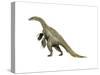 Nothronychus Dinosaur-null-Stretched Canvas