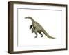 Nothronychus Dinosaur-null-Framed Art Print