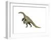 Nothronychus Dinosaur-null-Framed Art Print