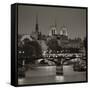 Notre Dame and Pont Des Arts, Paris, France-Jon Arnold-Framed Stretched Canvas