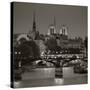 Notre Dame and Pont Des Arts, Paris, France-Jon Arnold-Stretched Canvas