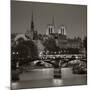 Notre Dame and Pont Des Arts, Paris, France-Jon Arnold-Mounted Premium Photographic Print