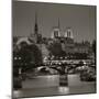 Notre Dame and Pont Des Arts, Paris, France-Jon Arnold-Mounted Photographic Print