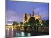 Notre Dame Cathedral and the River Seine, Paris, France, Europe-Gavin Hellier-Mounted Photographic Print