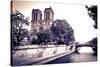 Notre Dame Cathedral and the Seine River, Paris, France-Russ Bishop-Stretched Canvas