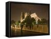 Notre Dame Cathedral at Night, Paris, France-Jim Zuckerman-Framed Stretched Canvas