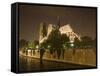 Notre Dame Cathedral at Night, Paris, France-Jim Zuckerman-Framed Stretched Canvas