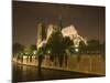 Notre Dame Cathedral at Night, Paris, France-Jim Zuckerman-Mounted Photographic Print