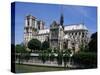 Notre Dame Cathedral from the Left Bank, Paris, France-Michael Short-Stretched Canvas