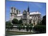 Notre Dame Cathedral from the Left Bank, Paris, France-Michael Short-Mounted Photographic Print